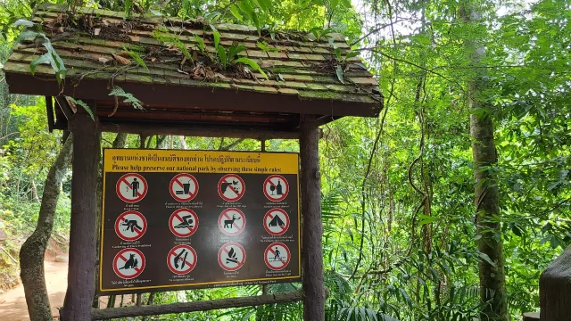 エコツーリズムのマナー