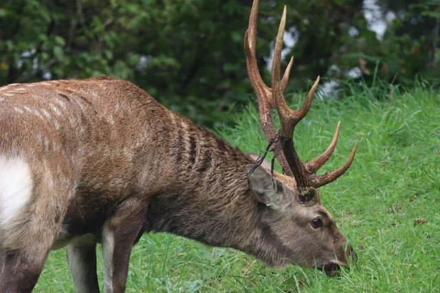 四季のエコツーリズムのイメージ